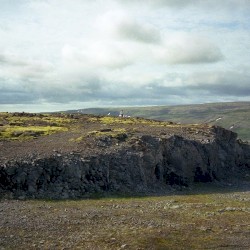 Tuxis Giant