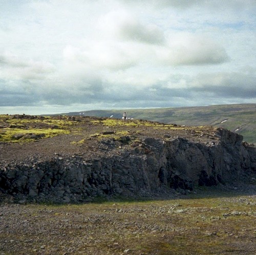 Tuxis Giant