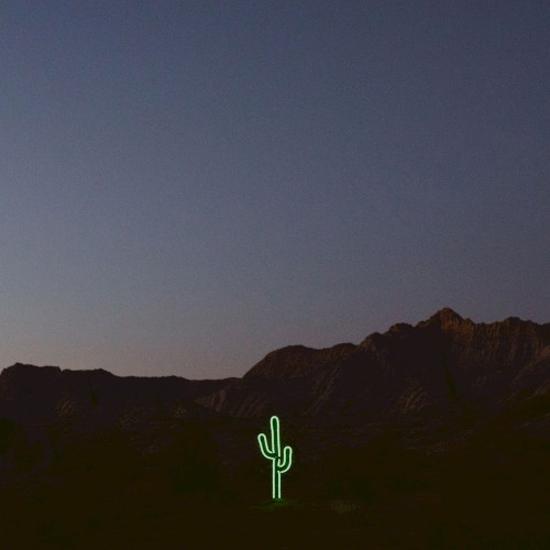 Open Skies (Wildflower)
