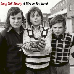 A Bird In the Hand