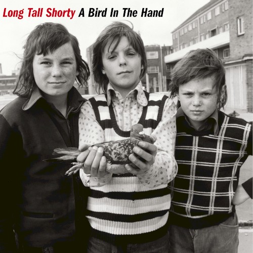 A Bird In the Hand