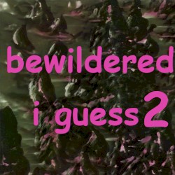 bewildered, i guess 2 - half finished album i guess idk