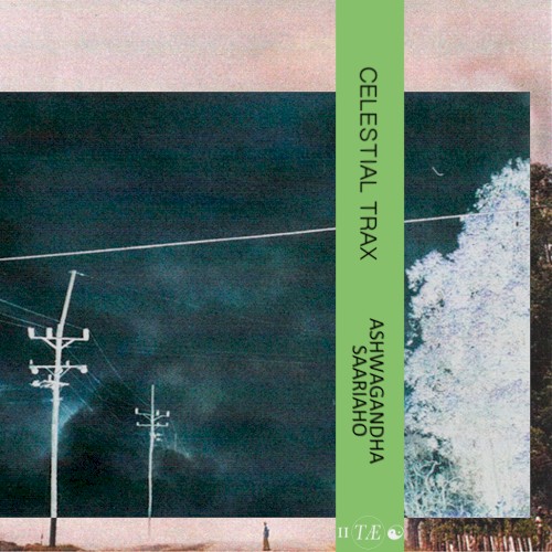 Ashwagandha/Saariaho