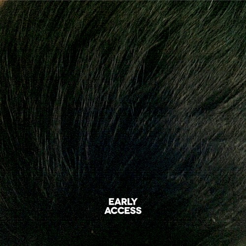 EARLY ACCESS