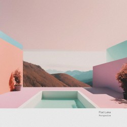 Perspective