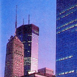 Purple Visions