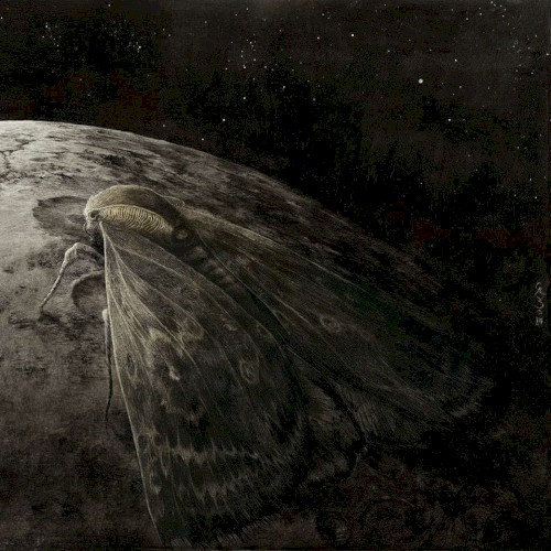 Moth and the Moon