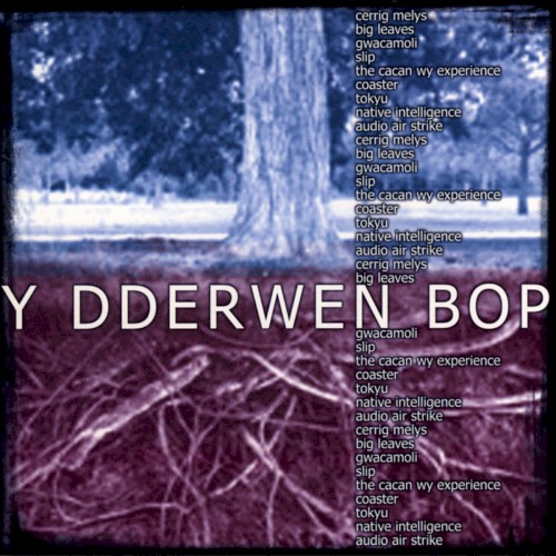Y Dderwen Bop