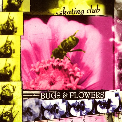 Bugs and Flowers