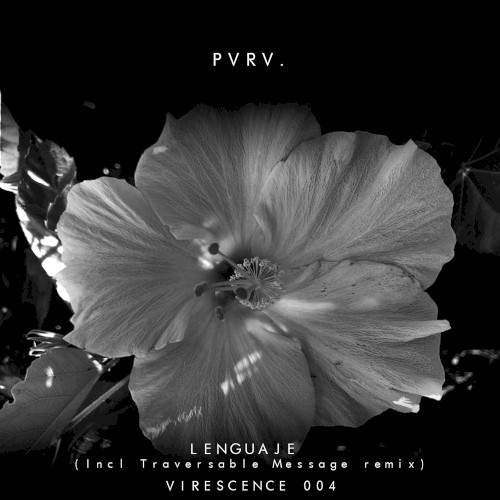 Lenguaje EP