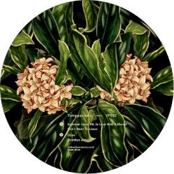 Summer Lover EP