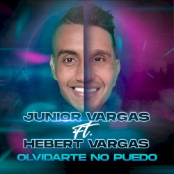 Olvidarte no puedo