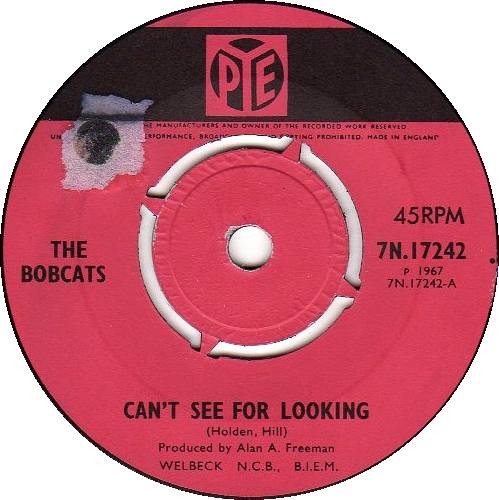 Can't See For Looking