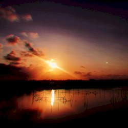 Sleepy Sunset