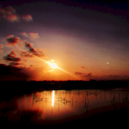 Sleepy Sunset
