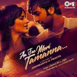 Aa Jao Meri Tamanna (Lofi mix)