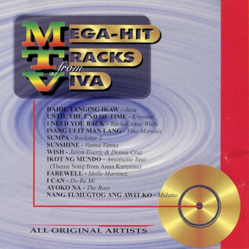 Mega Hit Tracks From Viva