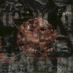 Non‐Stop Violence