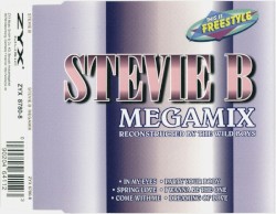 Stevie B Megamix