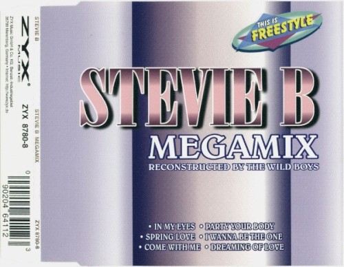 Stevie B Megamix