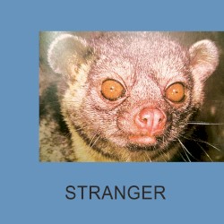 Stranger