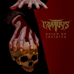 Reign of Infinite