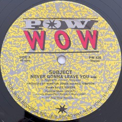 Never Gonna Leave You