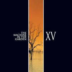 XV