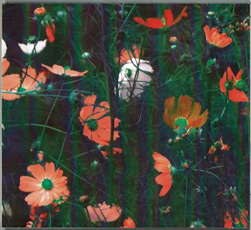 duyster.4