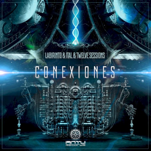 Conexiones