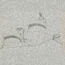 011: Hailing to the Flenser, Dead in their Tracks