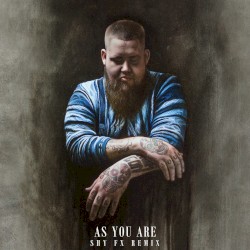 As You Are (Shy FX remix)