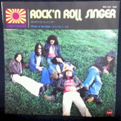 ROCK'N ROLL SINGER