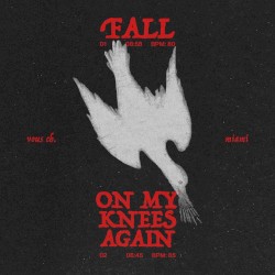 Fall on My Knees Again (live)