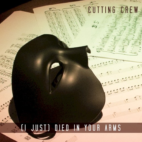 (I Just) Died in Your Arms