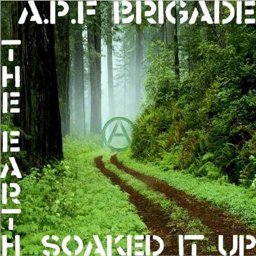 The Earth Soaked It Up