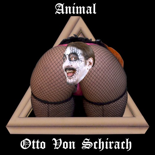 Animal