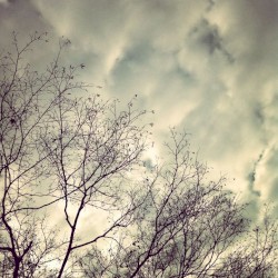 Pebbles in the Sky