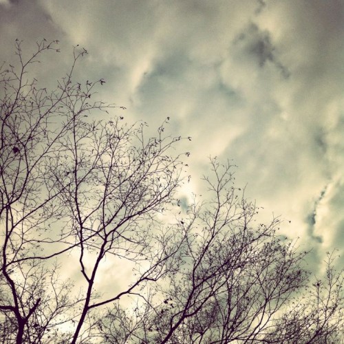 Pebbles in the Sky