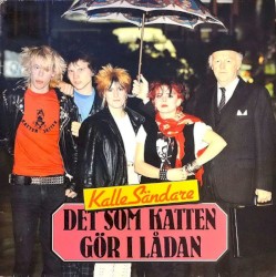 Det som katten gör i lådan