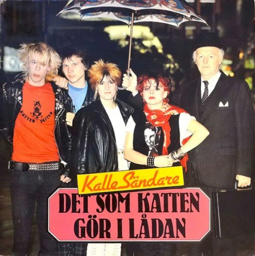Det som katten gör i lådan