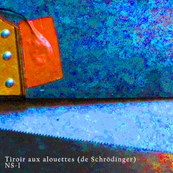 NS-I