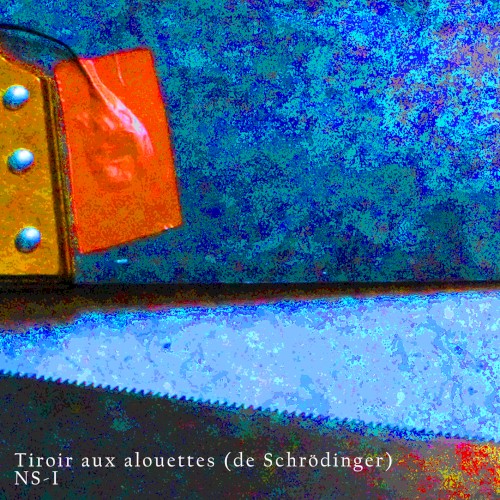 NS-I