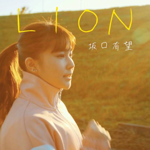 LION -TV Size-