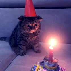 2022 BIRTHDAY MIX