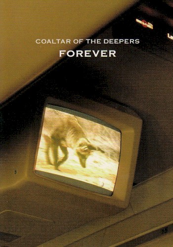 Forever