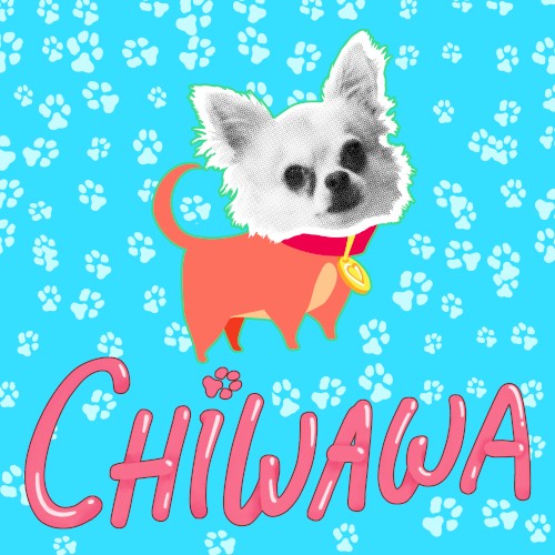 Chiwawa