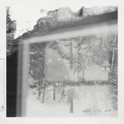 Winter in the Woods