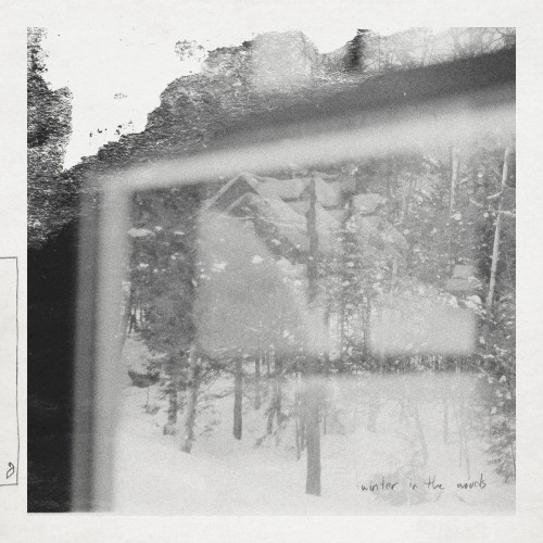Winter in the Woods