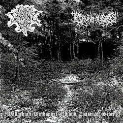 Wallachian Windspirit / Odious Chasm of Scorn